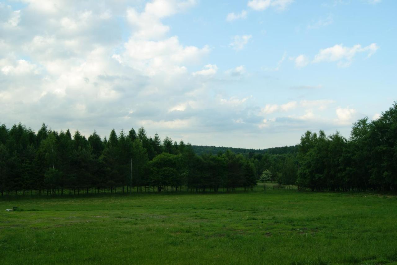 Siedlisko Blotnia Villa Mierzeszyn Exterior foto